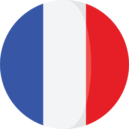 France Flag